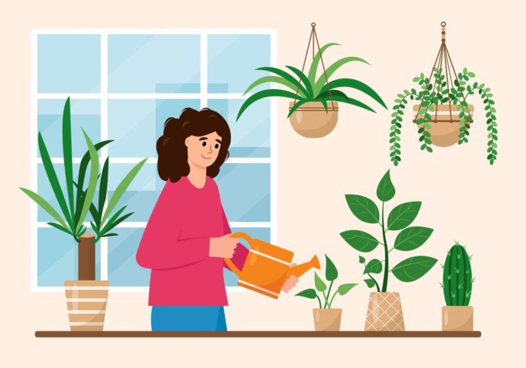 5 Easy-Care Houseplants for Beginners: A Simple Guide by Fiorella Sophia Isabella