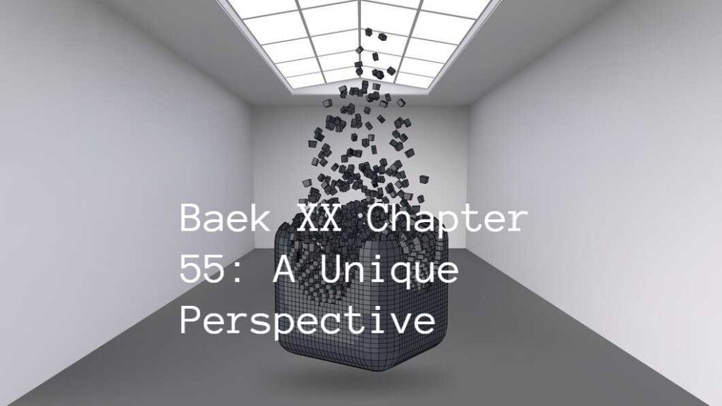 Baek XX Chapter 55: A Unique Perspective