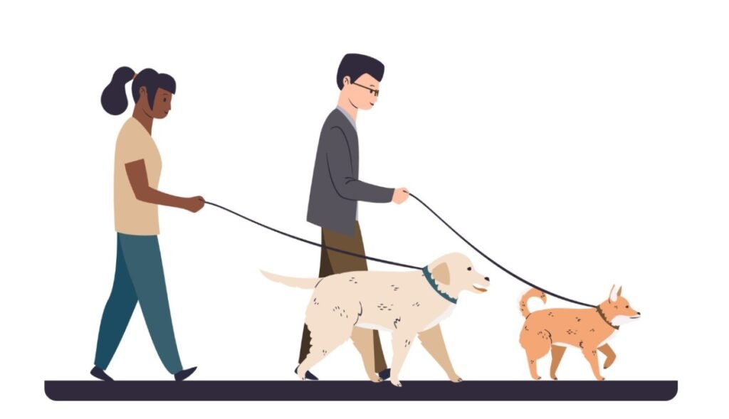 These Over-The-Top Ways To Treat Your Dog Like Royalty Will Make Tails Wag Instantly