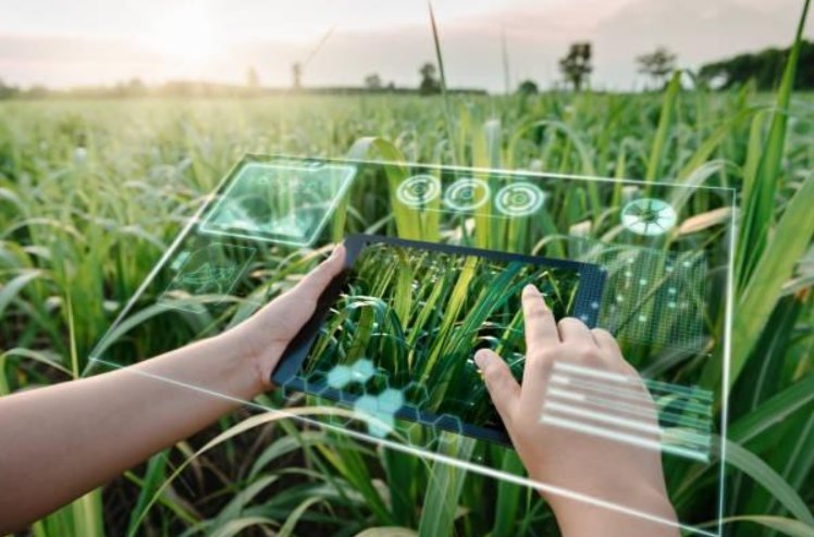 What Is Precision Agriculture?