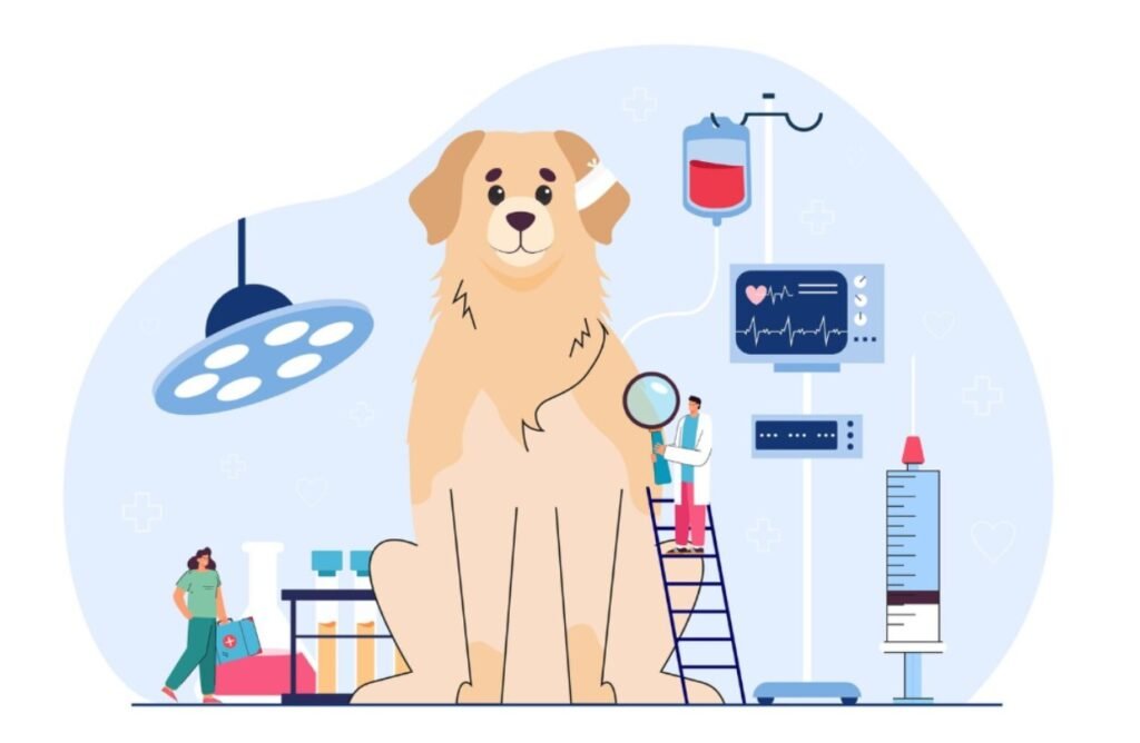 Best Pet Insurance for Labradors UK 2026: 7 Top Providers for Lab Owners