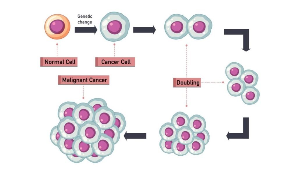 Understanding Triple-Negative Breast Cancer: Why Fewer Options Exist