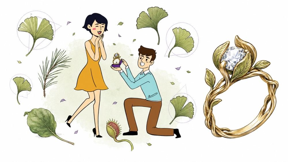 Why Nature Refuses To Repeat Itself