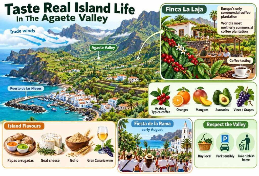 Taste Real Island Life In The Agaete Valley